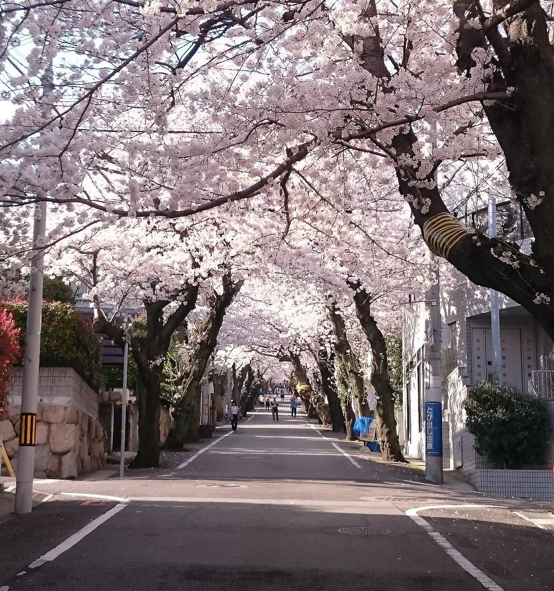 🏞️ 고베 종합운동공원 이미지 7